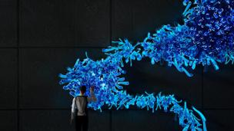 未来光物种灯光装置实景图3